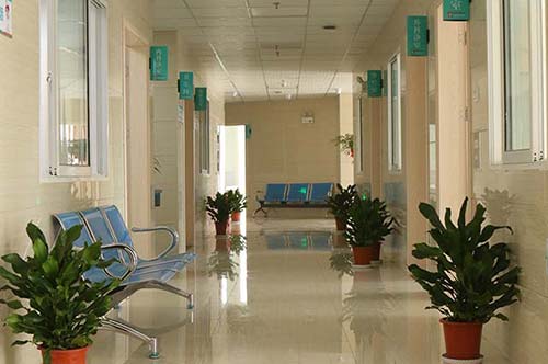 養(yǎng)老院老年人文化娛樂活動(dòng)設(shè)計(jì)與實(shí)施